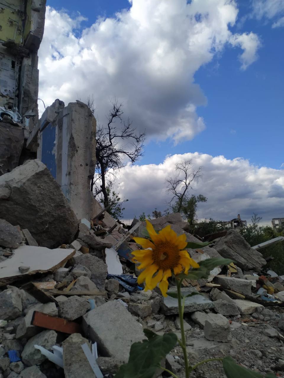 У Маріуполі місцеві виживають в нелюдських умовах: у більшості немає опалення та світла